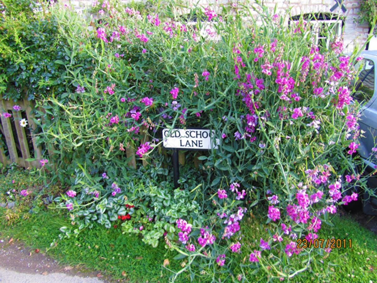 Harpe Cottage Wilmcote Bagian luar foto